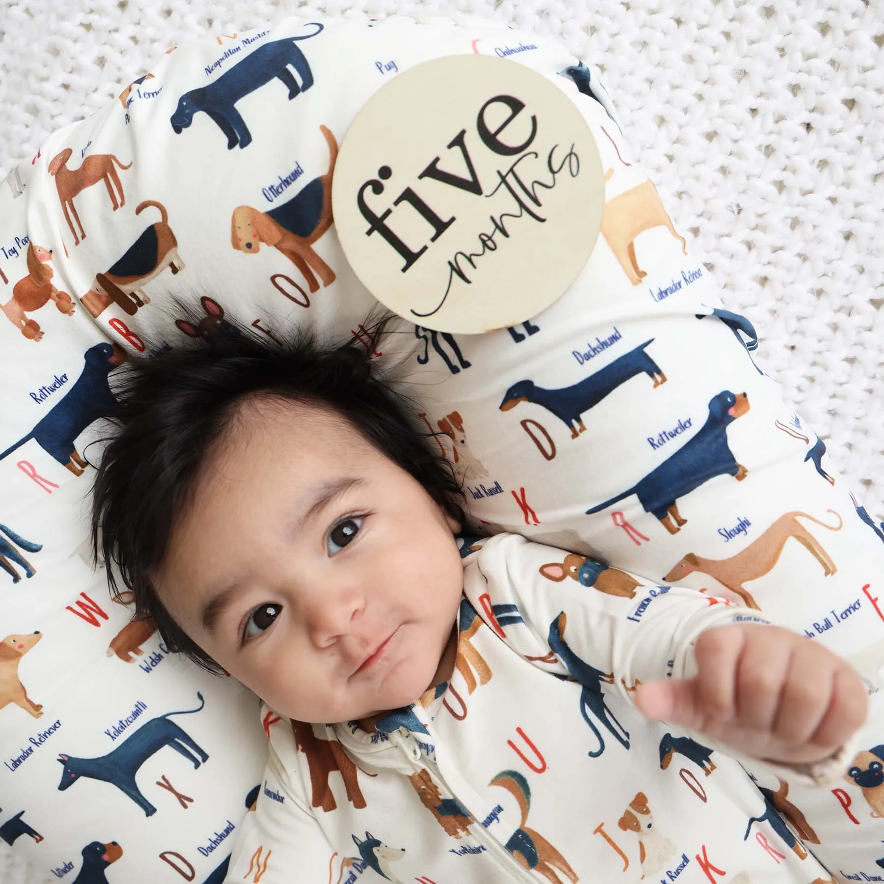 ABC Paw-ty Oversized Swaddle Blanket