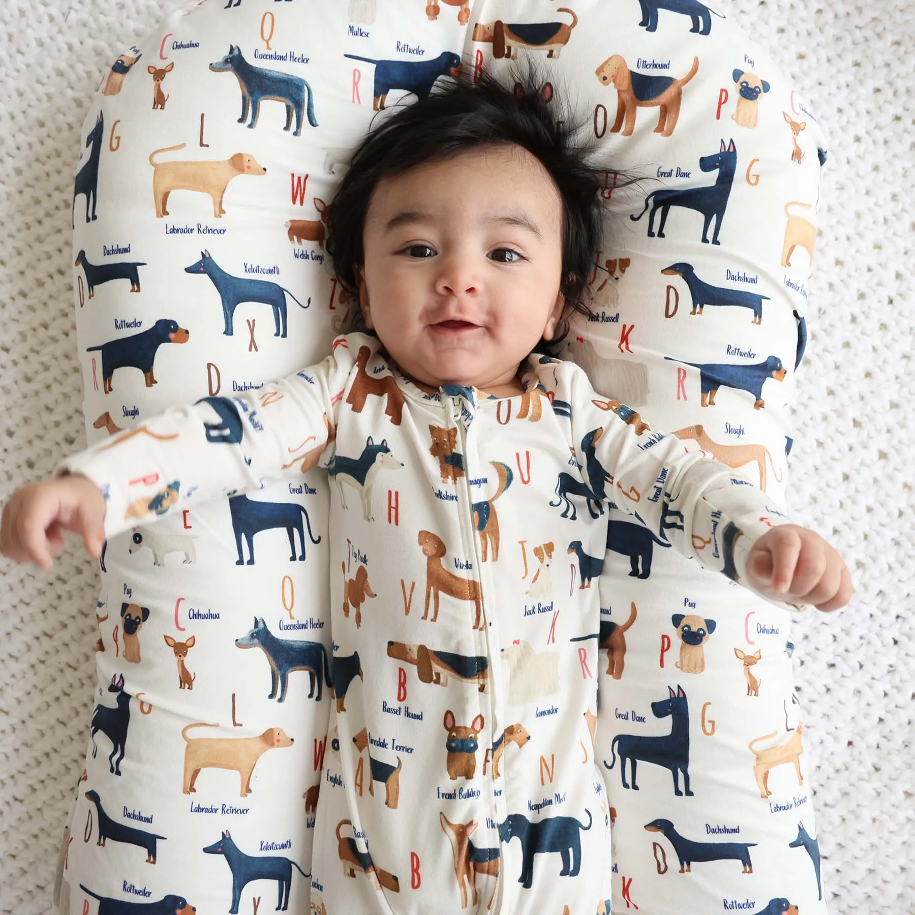 ABC Paw-ty Oversized Swaddle Blanket