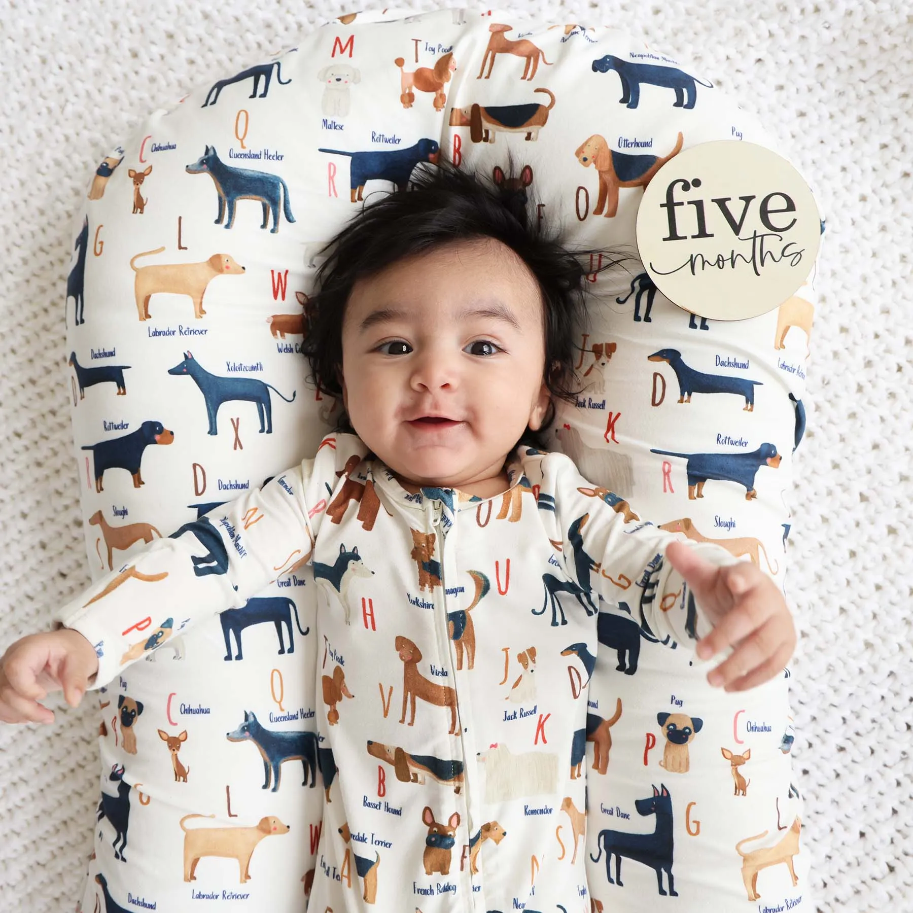 ABC Paw-ty Oversized Swaddle Blanket