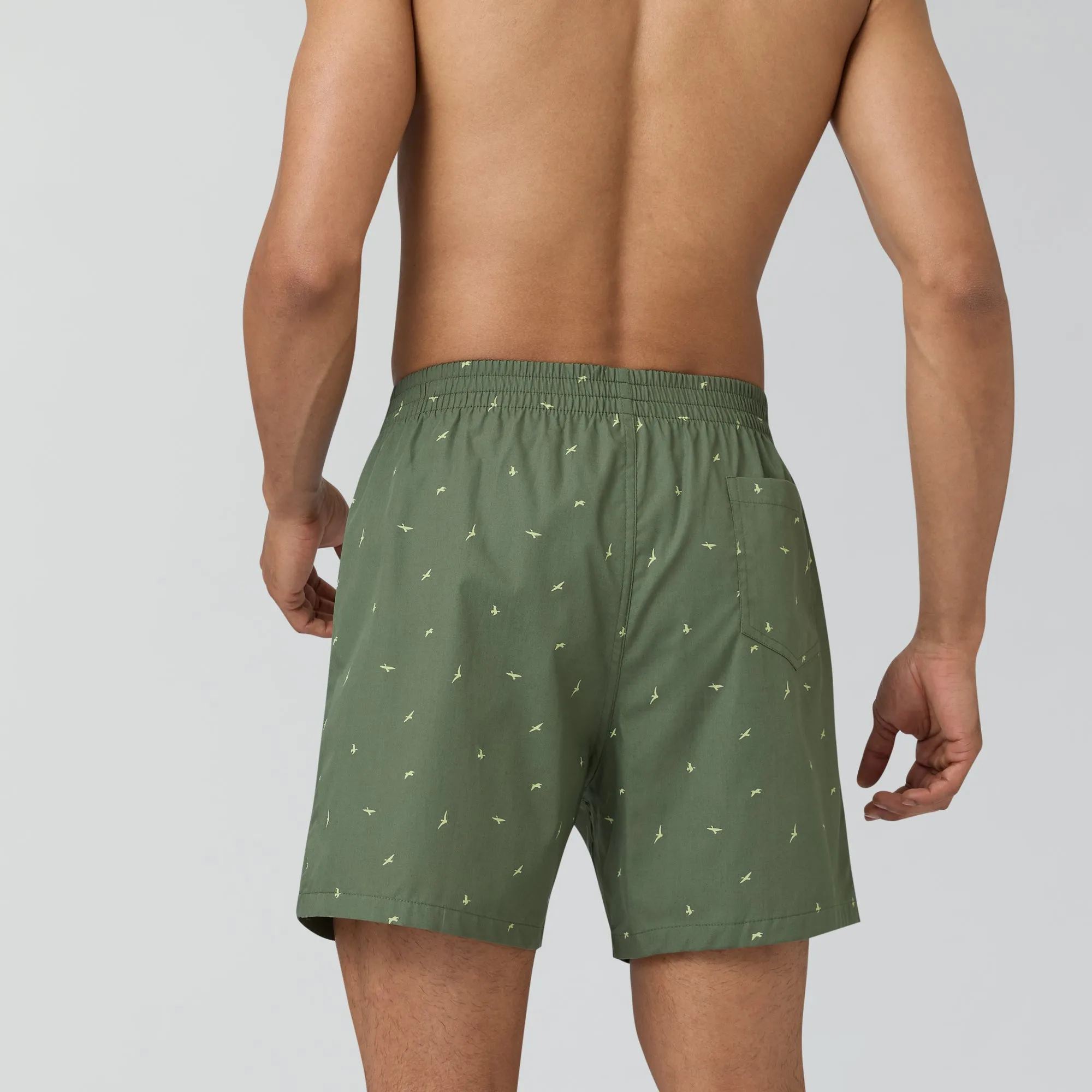 Astor Lounge Inner Boxers Wings Green