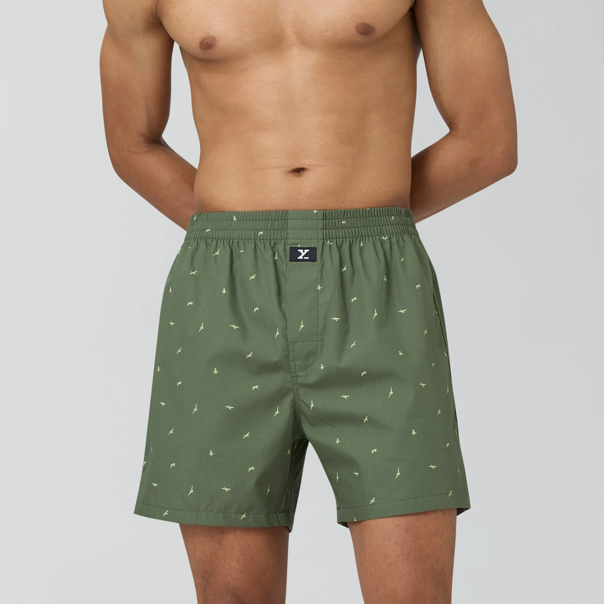 Astor Lounge Inner Boxers Wings Green