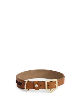 Hampton Dog Collar - Tan Leather & Plum Suede