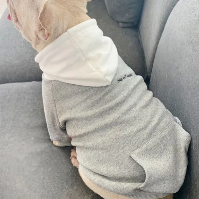 Matching Small Dog and Owner Hoodie