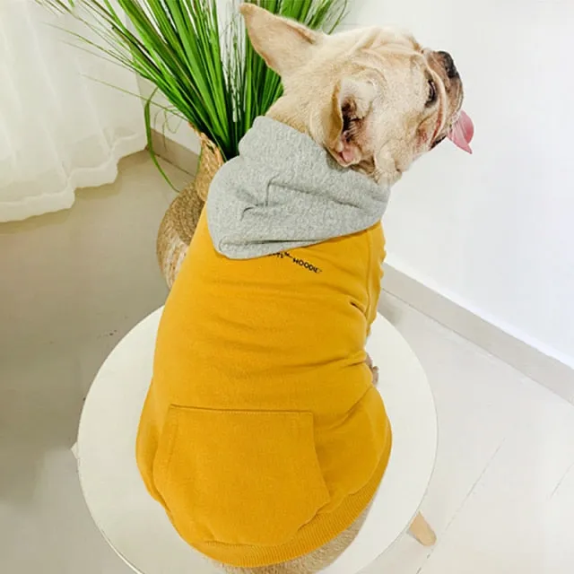 Matching Small Dog and Owner Hoodie